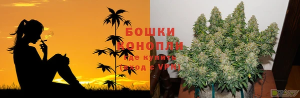 мескалин Аркадак