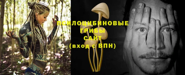 спиды Армянск