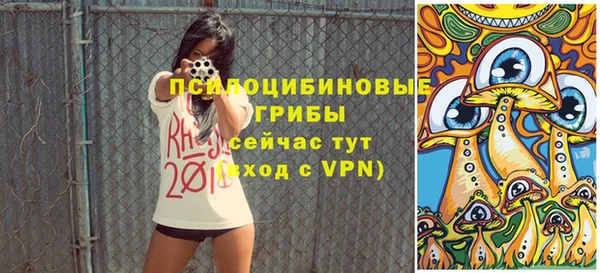 спиды Армянск