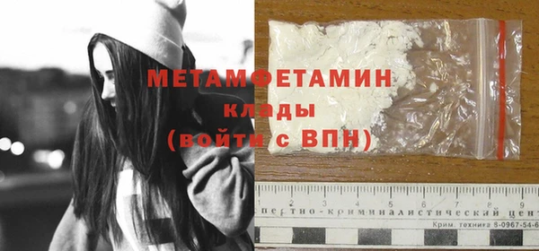 гидра Арсеньев