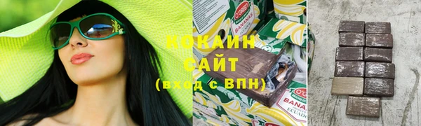 гидра Арсеньев